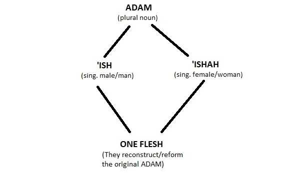 Adam-Diagram2