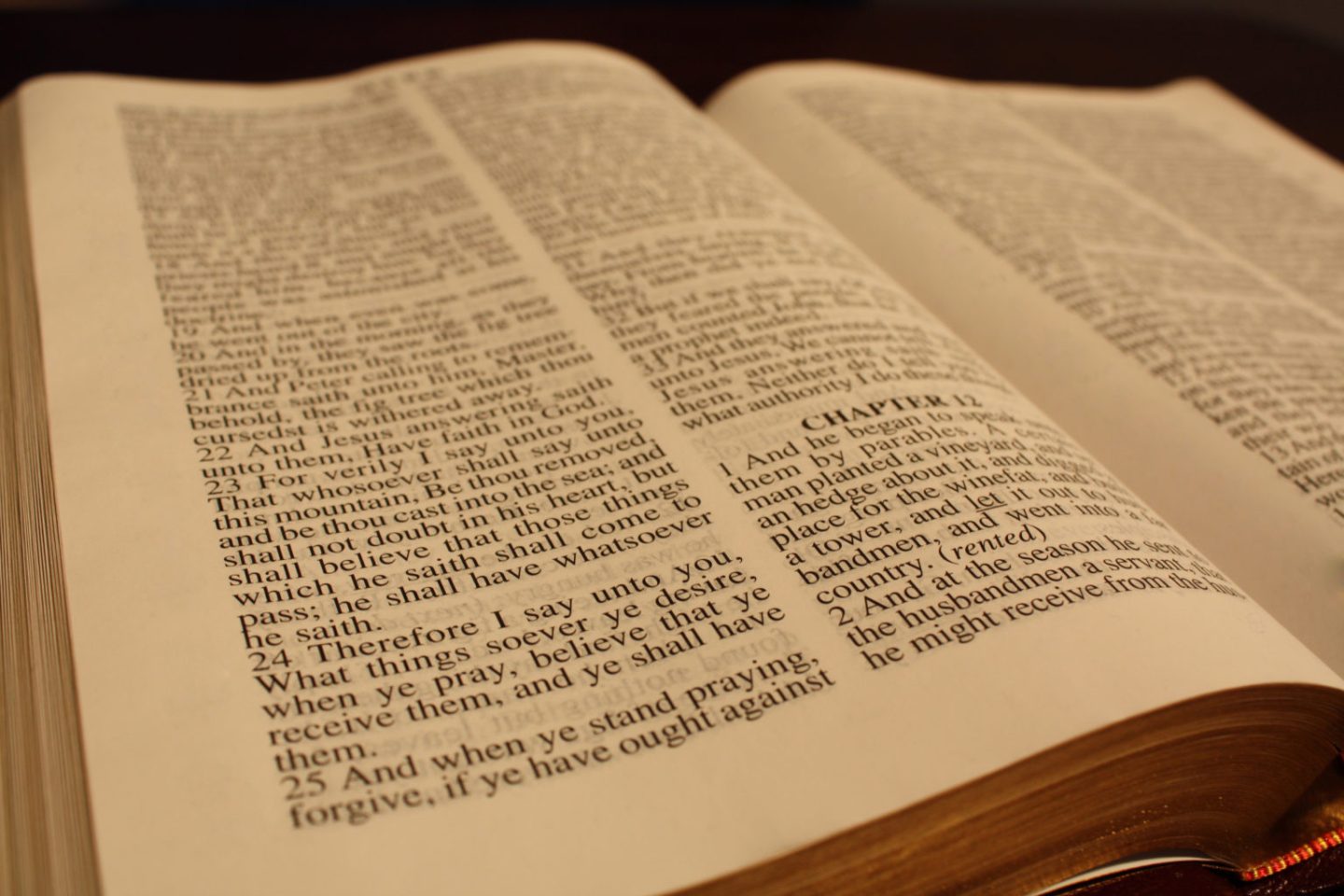 The 8 Basic Principles of How to Properly Interpret and Understand the ...